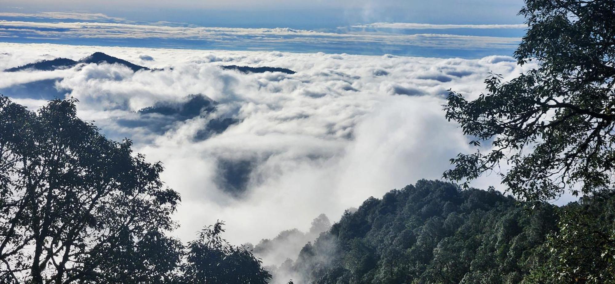 Simba Jungle Lodge, Binsar Wildlife Sanctuary 外观 照片