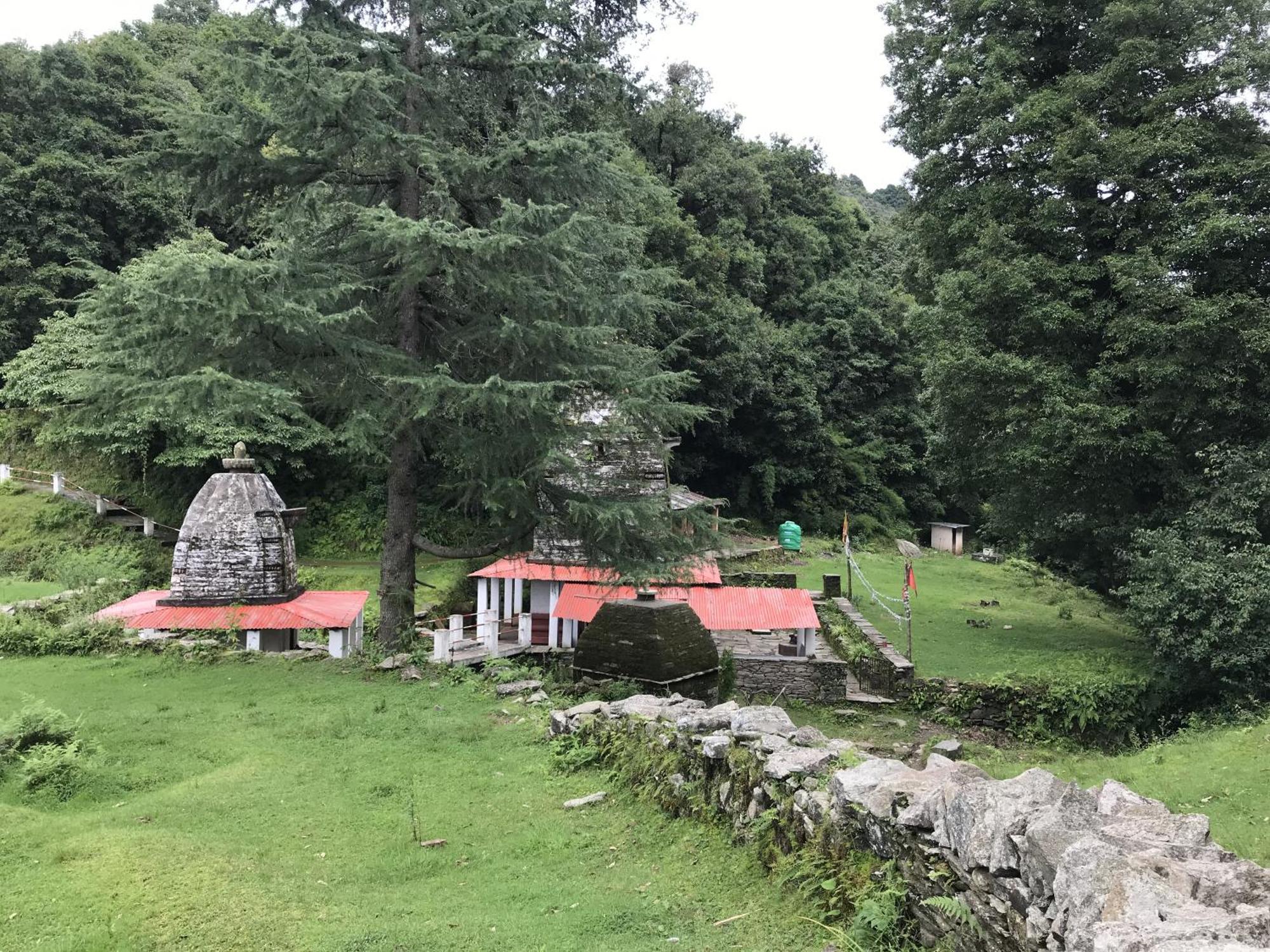 Simba Jungle Lodge, Binsar Wildlife Sanctuary 外观 照片