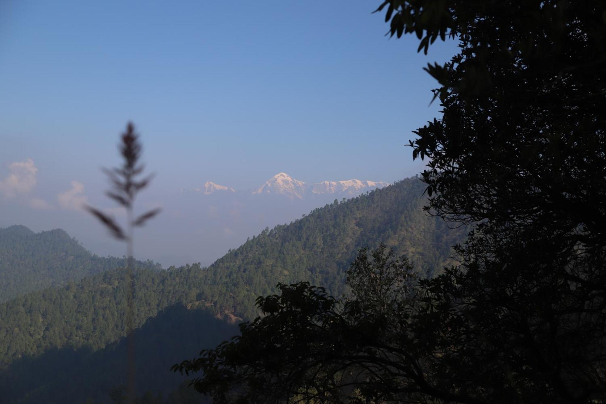 Simba Jungle Lodge, Binsar Wildlife Sanctuary 外观 照片