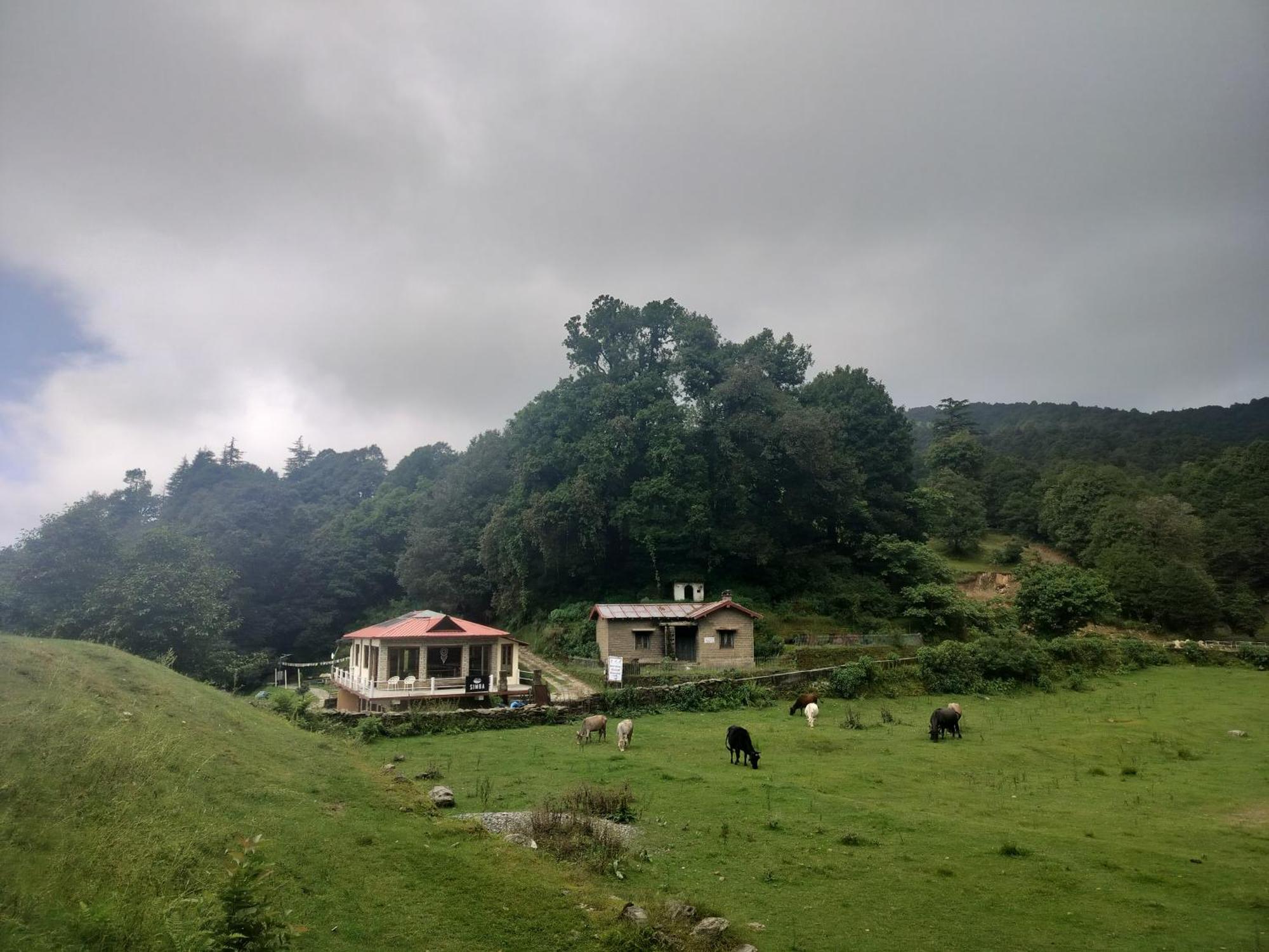 Simba Jungle Lodge, Binsar Wildlife Sanctuary 外观 照片