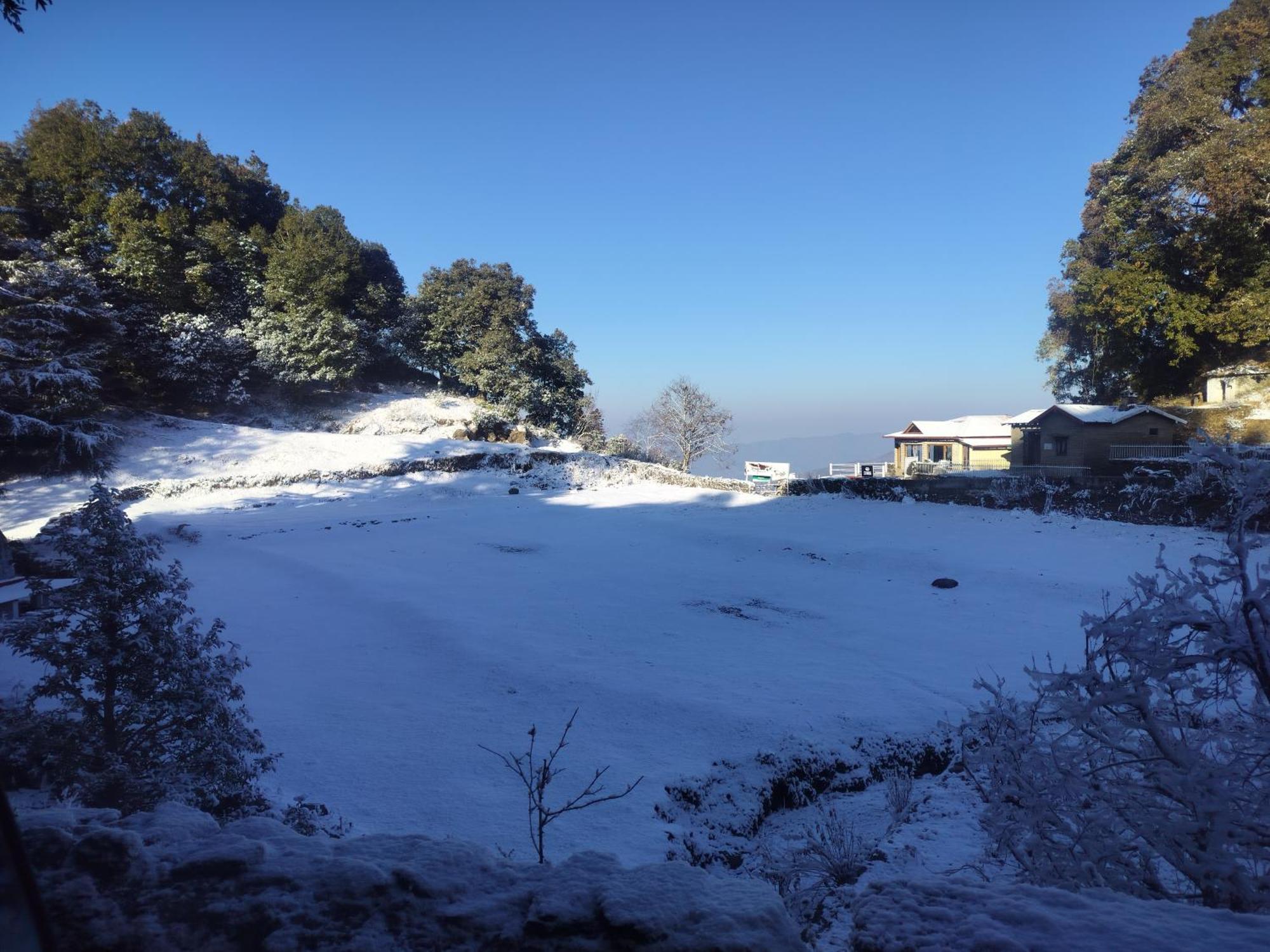 Simba Jungle Lodge, Binsar Wildlife Sanctuary 外观 照片